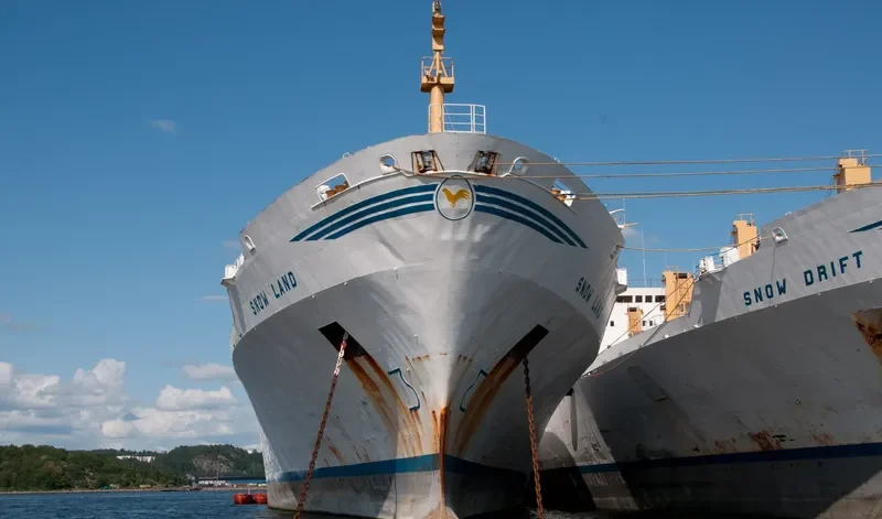 SNOW LAND General Cargo IMO 7203223 photo 3