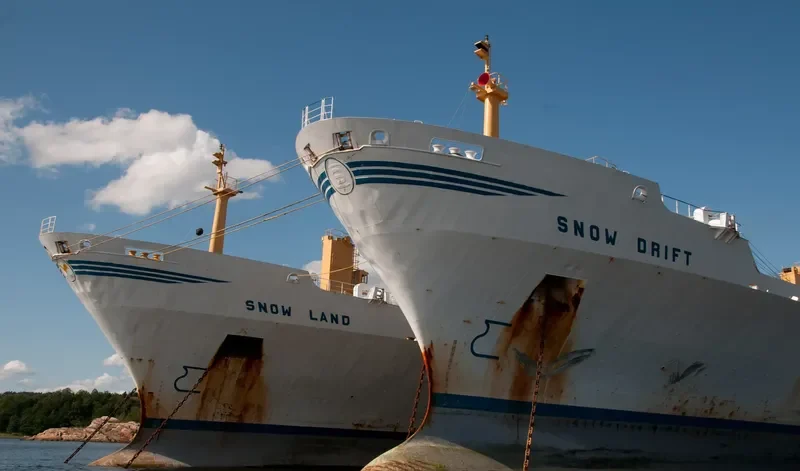 SNOW LAND General Cargo IMO 7203223 photo 4