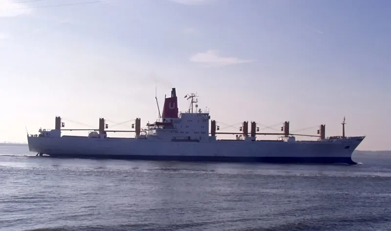 SNOW LAND General Cargo IMO 7203223 photo 8