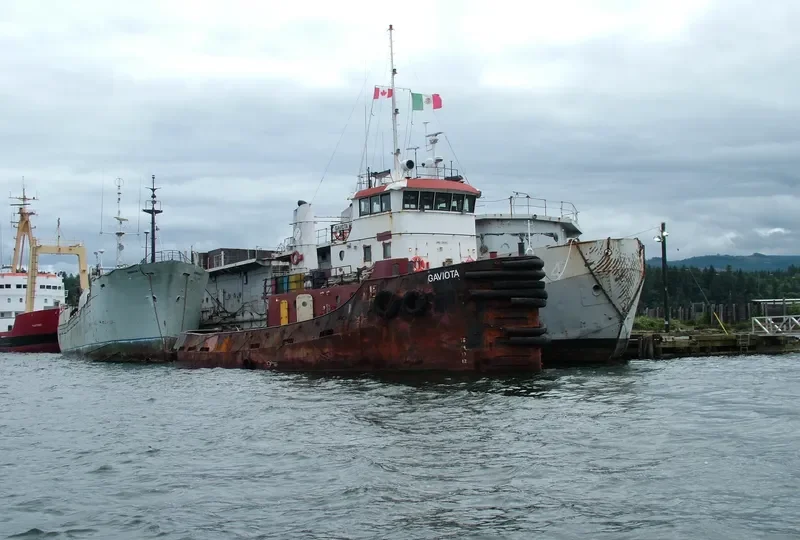 SAN VICENTE Offshore Vessel IMO 7203285 photo 3
