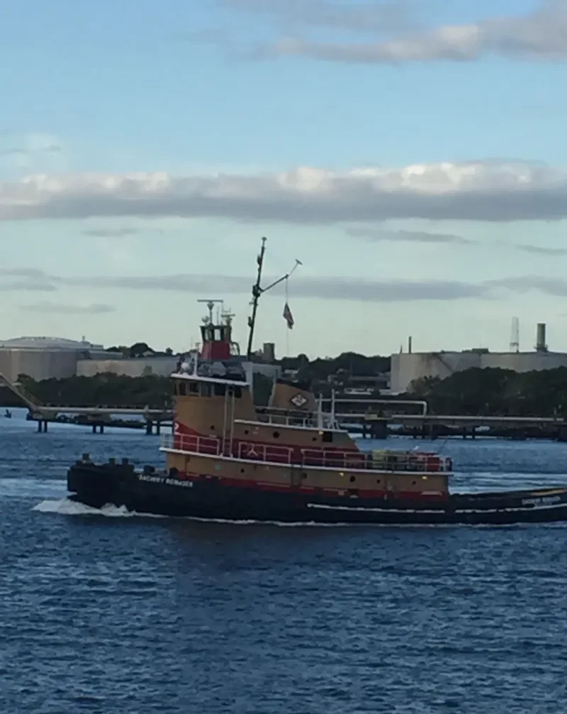 ZACHERY REINAUER Tug Boat IMO 7203302 photo 4