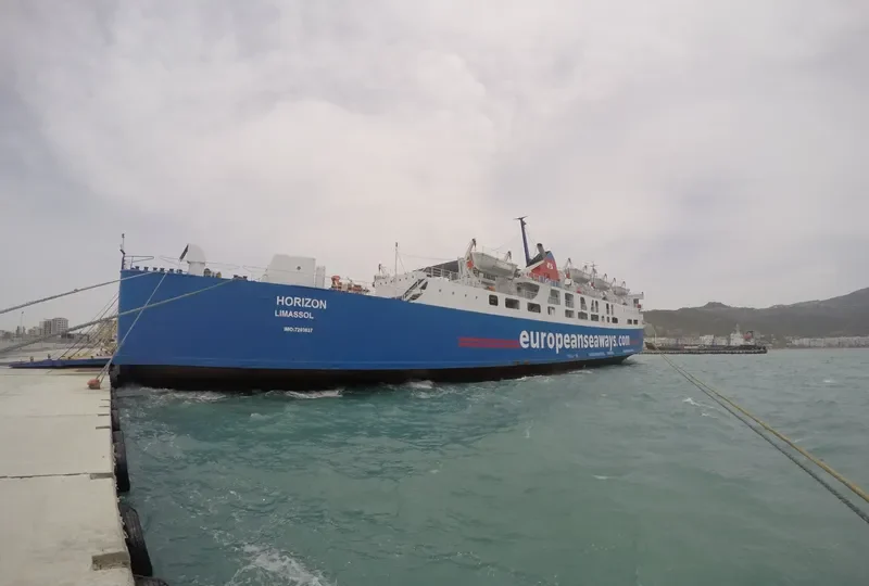 HORIZON Ro-Ro IMO 7203637 photo 4
