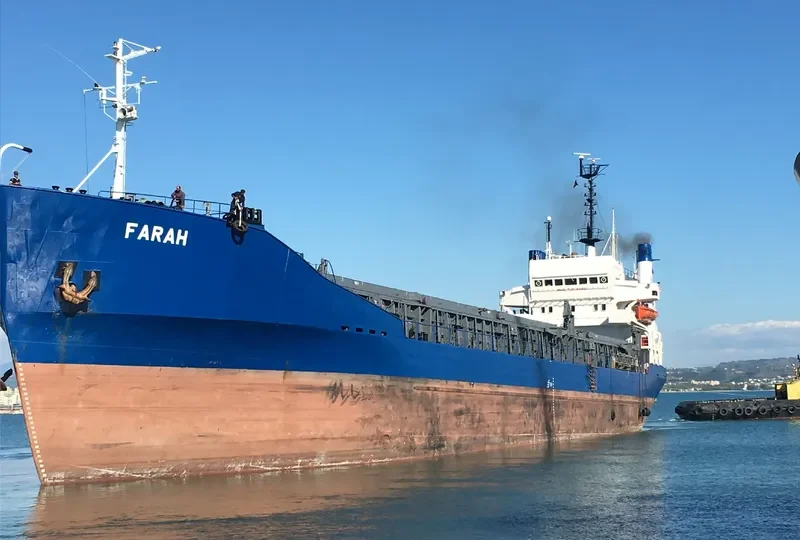 FARAH Bulk Carrier IMO 7203895 photo 4