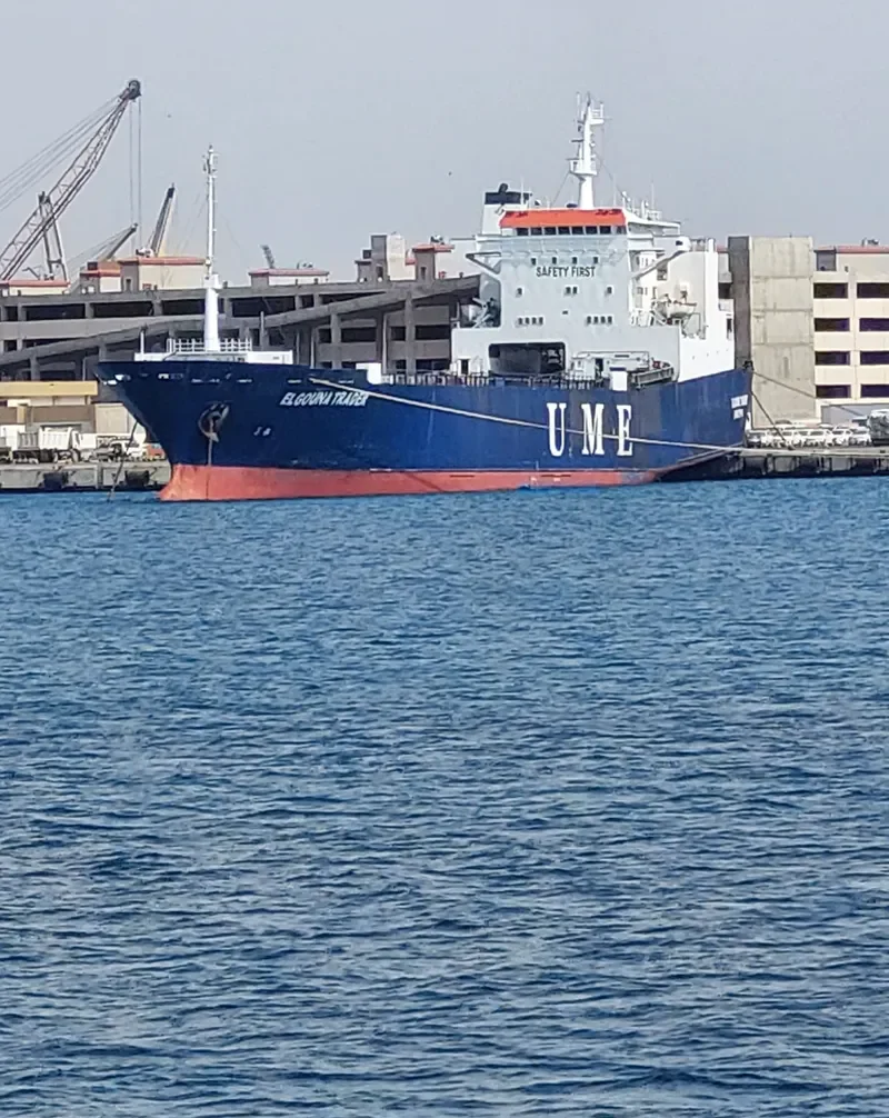 DORRAT JEDDAH Ro-Ro IMO 7203912 photo 4