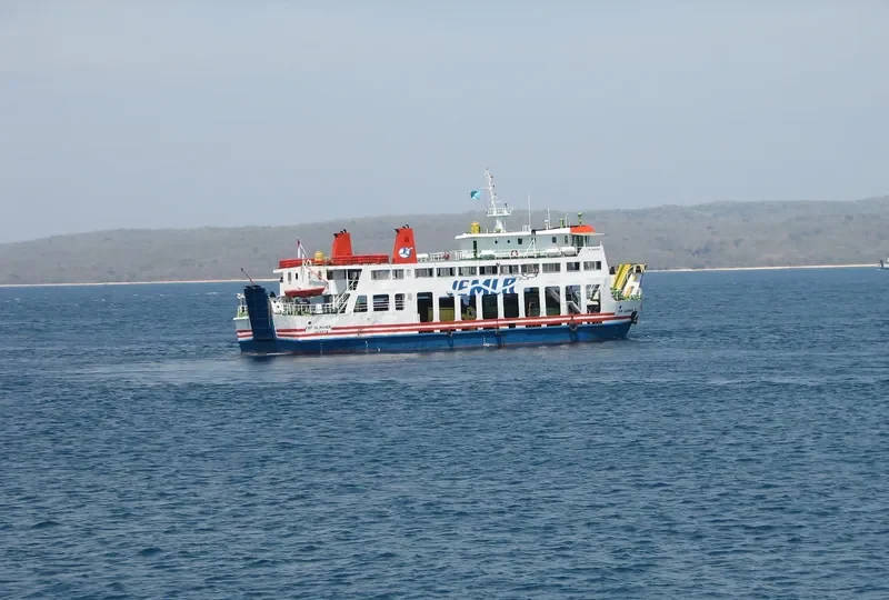 GILIMANUK Ro-Ro IMO 7204590 photo 2