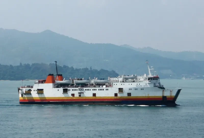 BAHUGA JAYA Ro-Ro IMO 7206392 photo 2