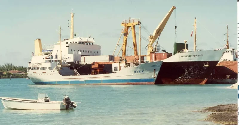 DUKE OF TOPSAIL Ro-Ro IMO 7206770 photo 6