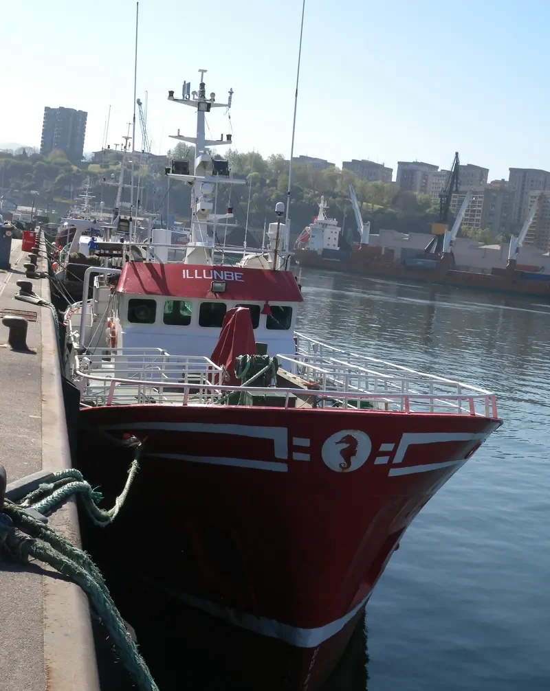 ILLUMBE Fishing Vessel IMO 7207619