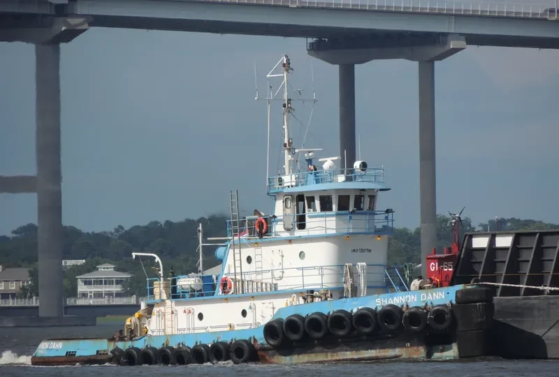 SHANNON DANN Tug Boat IMO 7207748 photo 9