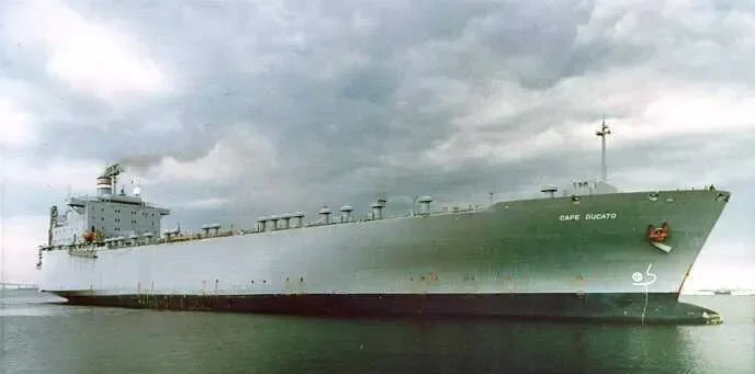 CAPE DUCATO General Cargo IMO 7208297