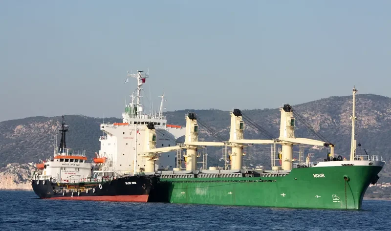 CAPTAIN GIANNIS Tanker IMO 7208699 photo 9