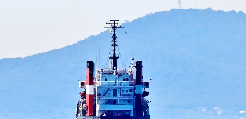 BRAVE WARRIOR Bulk Carrier IMO 7208728