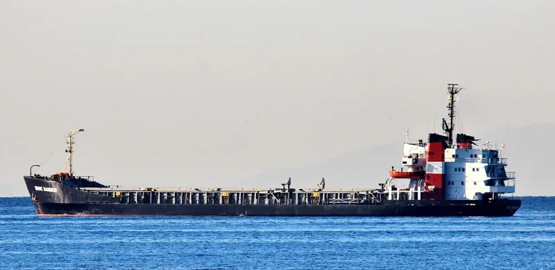 BRAVE WARRIOR Bulk Carrier IMO 7208728 photo 2