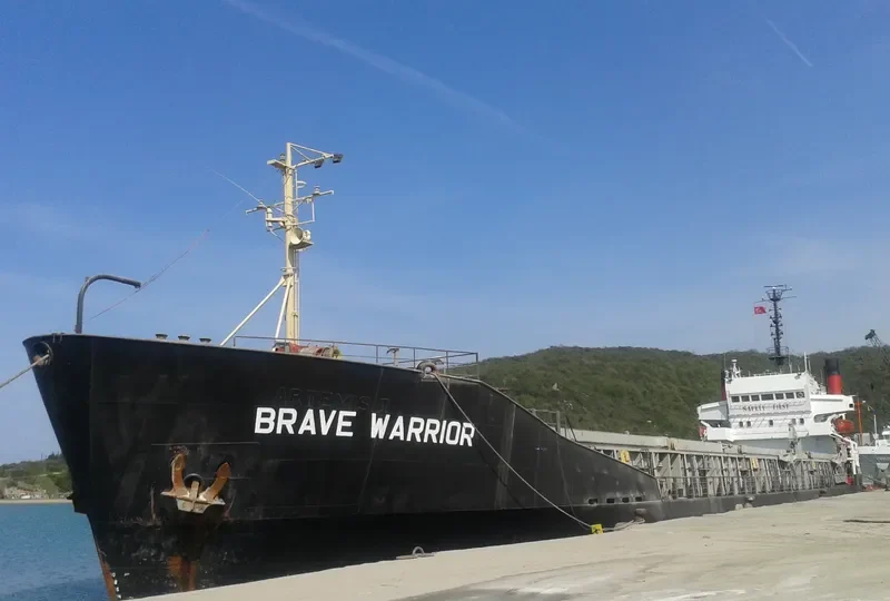 BRAVE WARRIOR Bulk Carrier IMO 7208728 photo 5