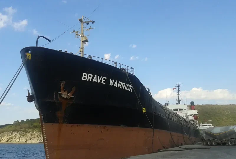 BRAVE WARRIOR Bulk Carrier IMO 7208728 photo 6