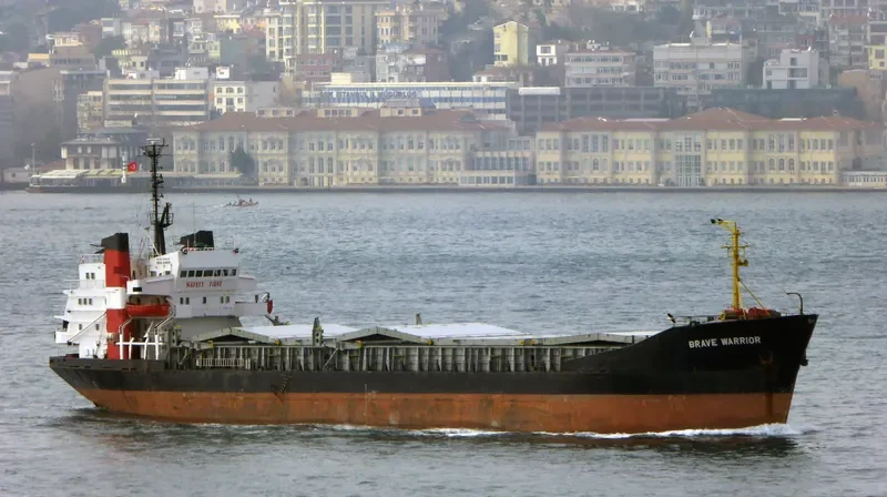 BRAVE WARRIOR Bulk Carrier IMO 7208728 photo 7