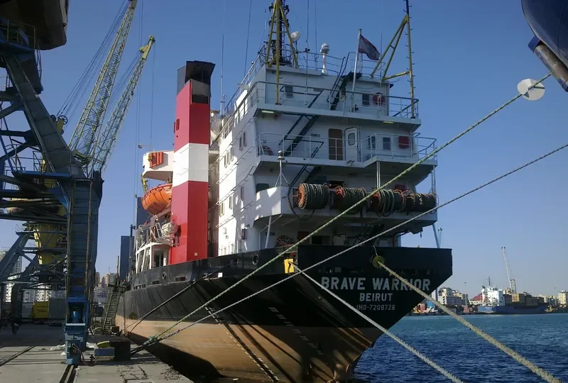 BRAVE WARRIOR Bulk Carrier IMO 7208728 photo 9