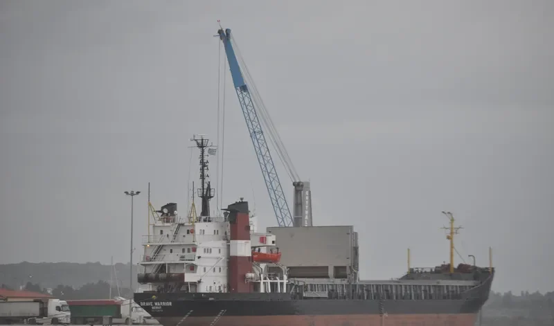 BRAVE WARRIOR Bulk Carrier IMO 7208728 photo 10