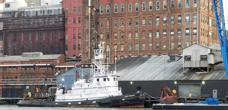 SEA ROBIN Tug Boat IMO 7210496 photo 6