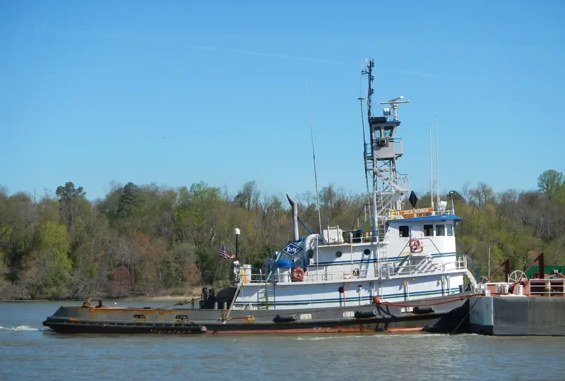 SEA ROBIN Tug Boat IMO 7210496 photo 8