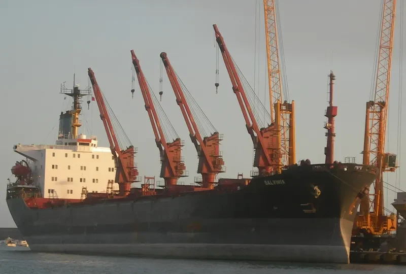 SALVINIA Bulk Carrier IMO 7211737