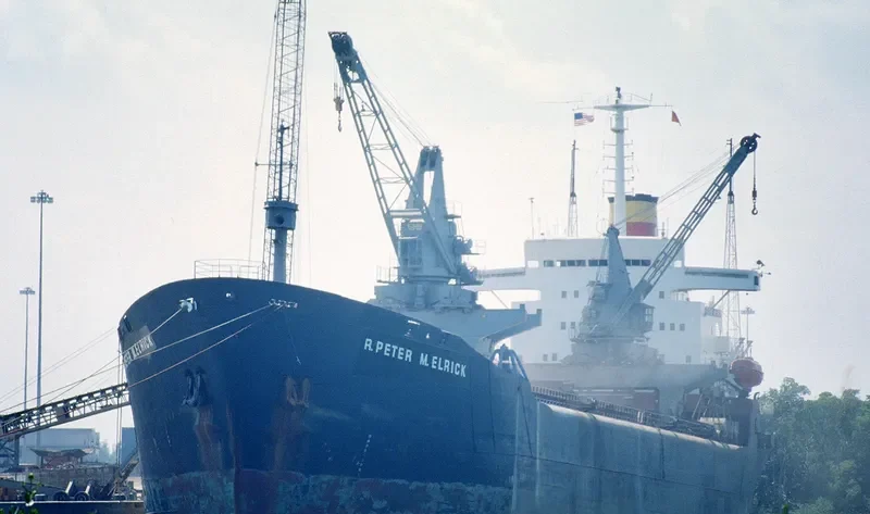 R.PETER M.ELRICK Bulk Carrier IMO 7212119