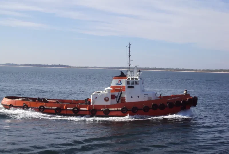 CABO ESPICHEL Tug Boat IMO 7212195 photo 8