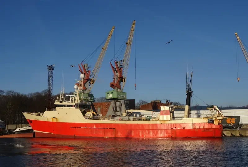 VITYAZ General Cargo IMO 7212248 photo 2