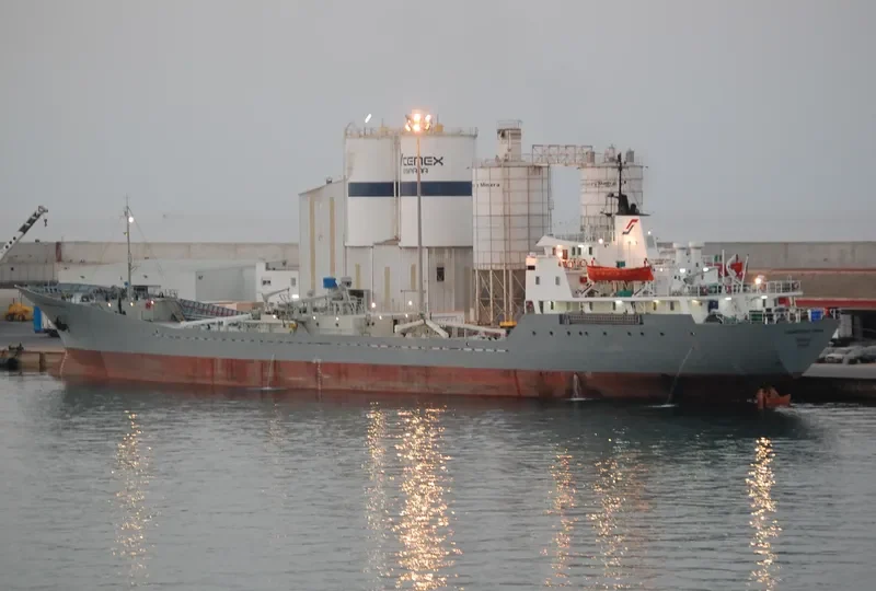 DIEGO General Cargo IMO 7214284 photo 8