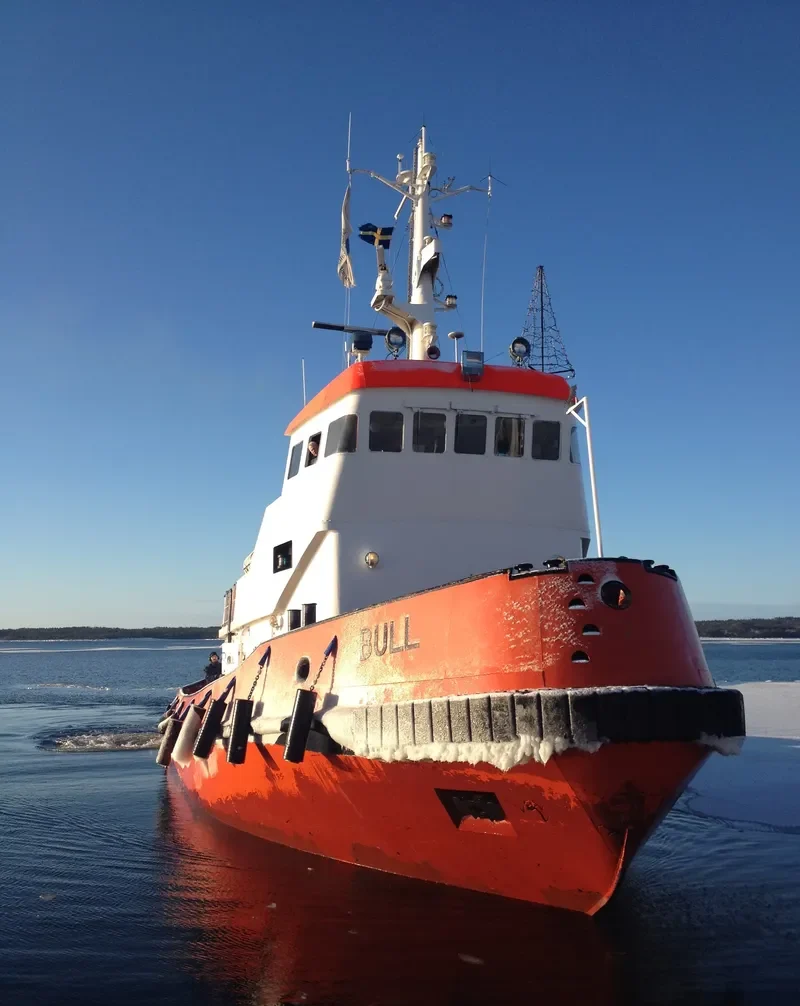 BULL Tug Boat IMO 7214480 photo 5