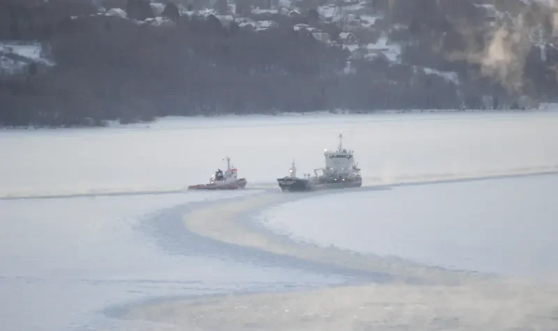 BULL Tug Boat IMO 7214480 photo 6