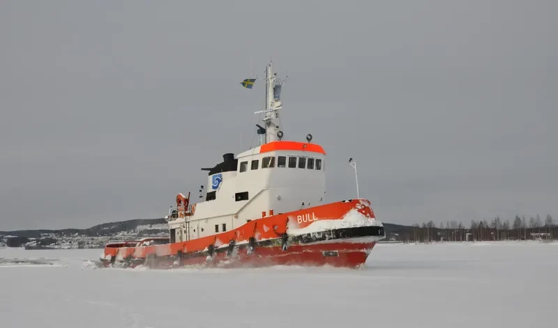 BULL Tug Boat IMO 7214480 photo 8