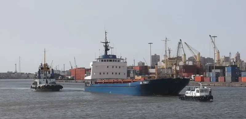 GULF FOREST General Cargo IMO 7214557 photo 8