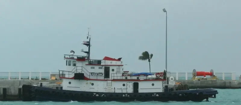 OCEAN WIND Tug Boat IMO 7215721 photo 4