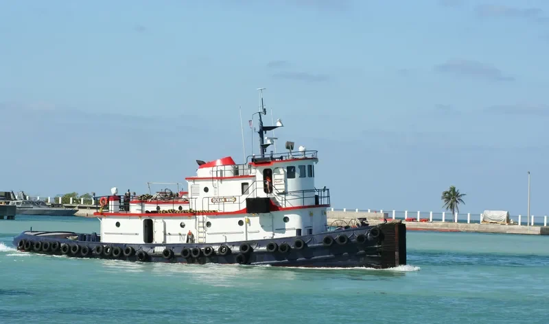 OCEAN WIND Tug Boat IMO 7215721 photo 5