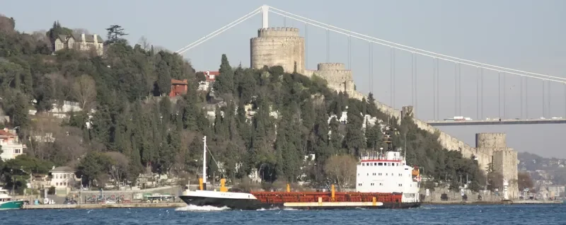 MARIA F General Cargo IMO 7217016 photo 8