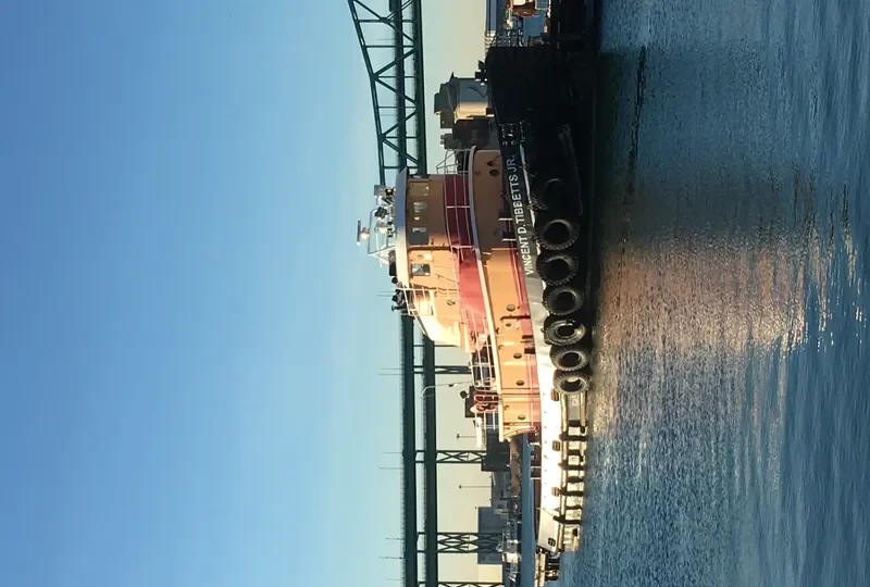VINCENT D. TIBBETTS JR. General Cargo IMO 7217133 photo 7