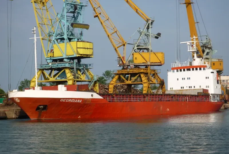 GEORGIANA General Cargo IMO 7217561