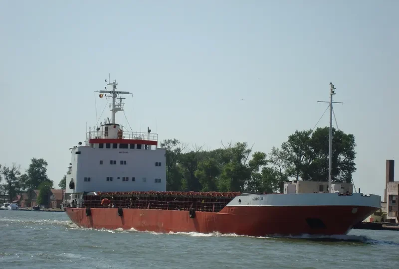 GEORGIANA General Cargo IMO 7217561 photo 6