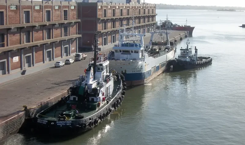 SUDESTADA Tug Boat IMO 7217858 photo 3