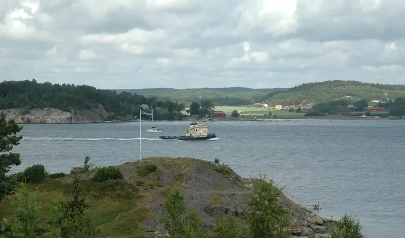 MIGG Tug Boat IMO 7218084 photo 9