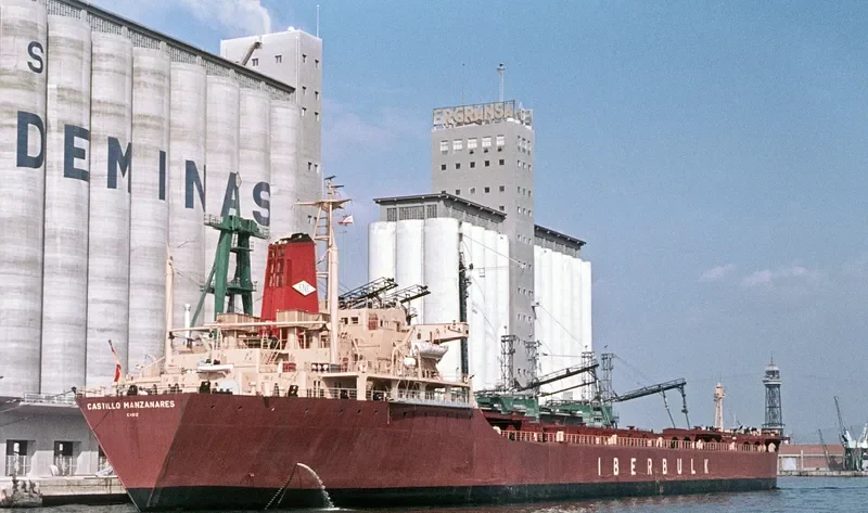 CASTILLO MANZANARES Bulk Carrier IMO 7218929