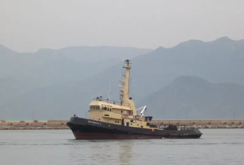 SEYBOUSE 3 Tug Boat IMO 7219052