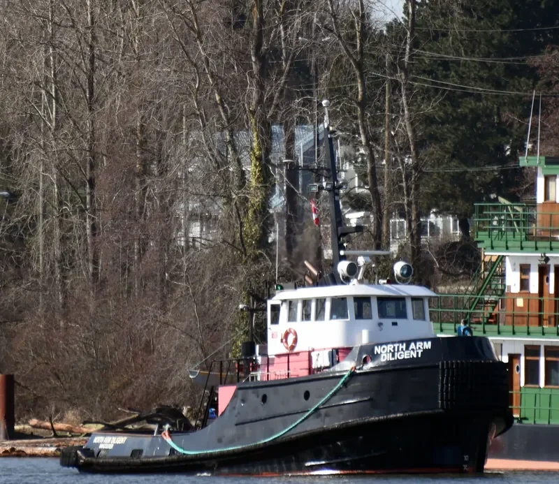 NORTH ARM DILIGENT Tug Boat IMO 7219985 photo 2