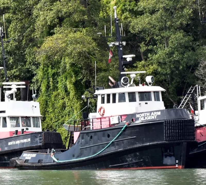 NORTH ARM DILIGENT Tug Boat IMO 7219985 photo 7