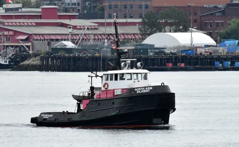 NORTH ARM DILIGENT Tug Boat IMO 7219985 photo 9
