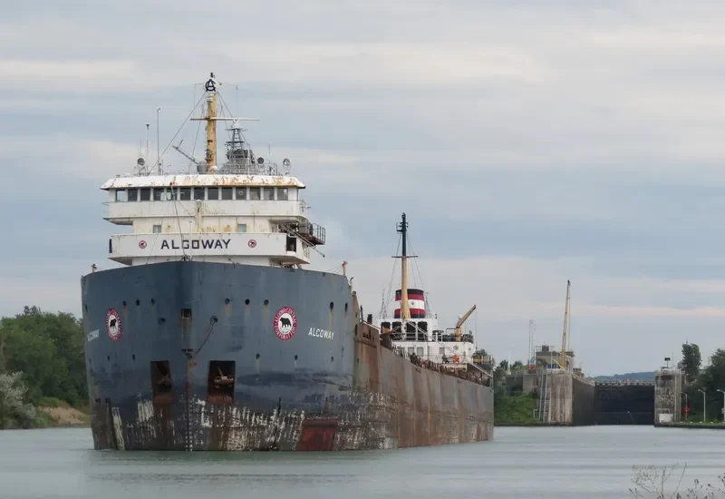 ALGOWAY Bulk Carrier IMO 7221251 photo 9