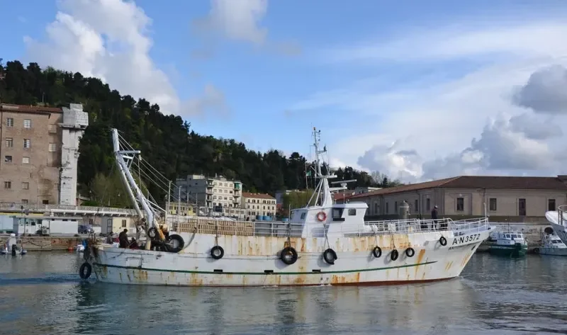 ANTONIO MICUCCI General Cargo IMO 7221732