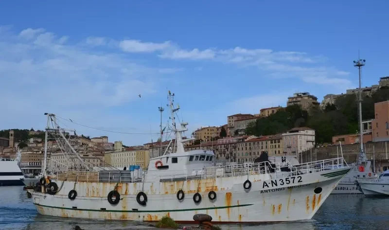 ANTONIO MICUCCI General Cargo IMO 7221732 photo 2