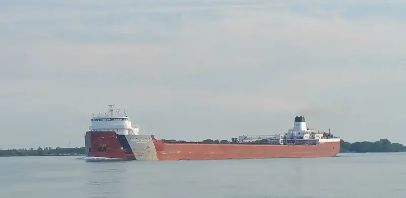ROGER BLOUGH Bulk Carrier IMO 7222138 photo 5
